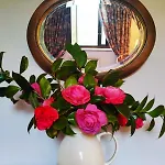 別荘 Prau Del Urogallo