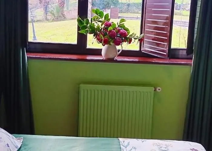 Prau Del Urogallo 펜션